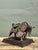 This remarkable Brutalist sculpture, titled "El Toro," is a masterwork of mid-century industrial art. Dated 1971, the...