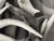 Contemporary Antler Study Photograph, Signed For Sale - Image 10 of 12