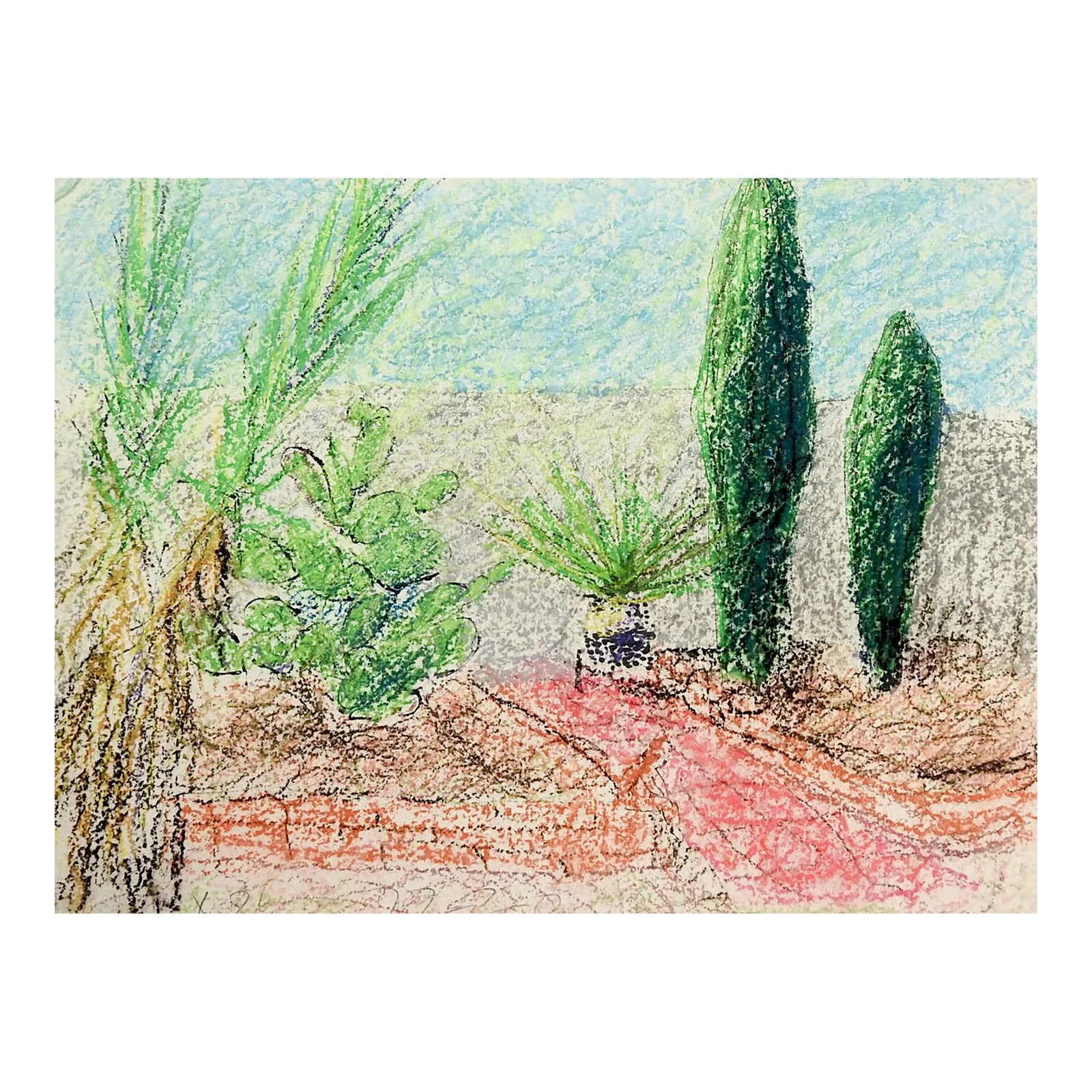 Contemporary Desert Green Garden Landscape Drawing | Chairish