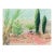 Contemporary Desert Green Garden Landscape Drawing For Sale
