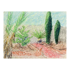 Contemporary Desert Green Garden Landscape Drawing