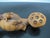 Chinese Chinese Hand Carved Boxwood Wood Lotus Ruyi Scepter With Small Fish on Pods For Sale - Image 3 of 8