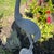Vintage Garden Statue of a Heron With Detailed Feather Etching, Realistic Depiction For Sale - Image 10 of 12