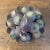 Mid 20th Century Italian Aubergine and Green Terra-Cotta Fig Topiary For Sale - Image 5 of 10