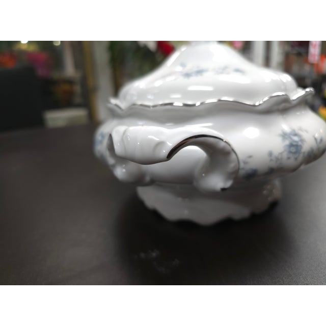 Traditional Late 20th Century Johann Haviland Casserole Dish For Sale - Image 3 of 14