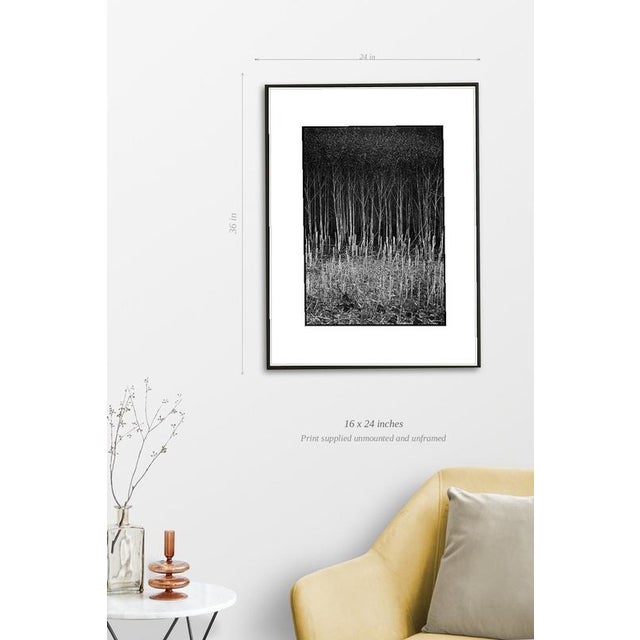 Fine art Giclee prints on Hahnemuhle Photo Rag 308gsm - a 100% cotton, acid-free, mould-made paper. Printed to Fine Art...
