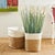 Early 21st Century Madura Rectangular Baskets, Set Of 2 For Sale - Image 5 of 8