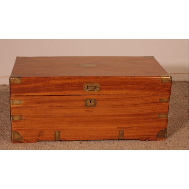 Marine Camphor Wood Chest, 19th Century For Sale - Image 12 of 12