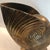Mid-Century Modern 1970s Brass Conch Shell Footed Planter For Sale - Image 3 of 9