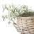 28" Extra Large round vintage basket with handles. Were crushing on it's vintage weathered patina and irregular squatty...