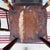 Set of 6 19th C. Adams/York County Pa Paint-Decorated Plank Seat Kitchen Windsor Chairs For Sale - Image 14 of 18