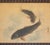 1900-1940s Large Japanese Silk Scroll Painting "Two Carps", Signed and Sealed For Sale - Image 4 of 15