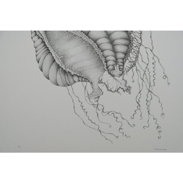 Gochka Charewicz, Nepenthes Sins Iridum, Lithograph For Sale - Image 4 of 8