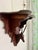 This handcarved corner shelf draws the eye in to appreciate both the bracket and the item displayed. Condition: Very good...