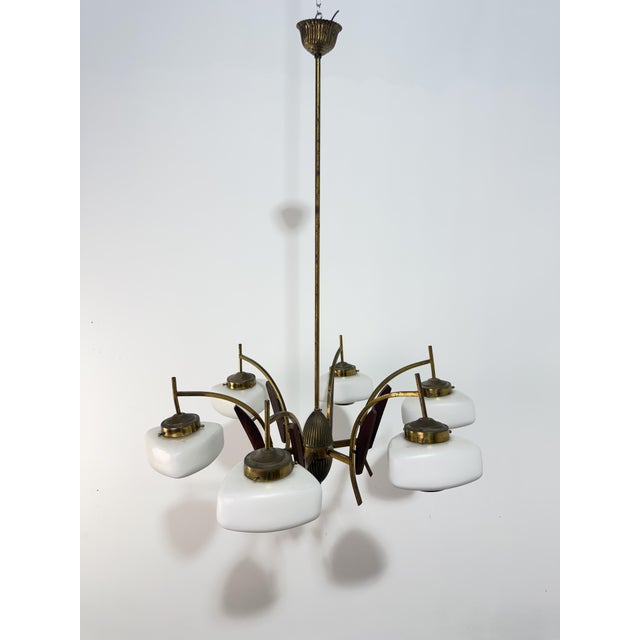 6-Light Chandelier in Brass, Wood and Opal Glass in the style of Stilnovo, 1950 For Sale - Image 4 of 11