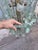 Chandelier in Crystal from Fontana Arte, Italy, 1950s For Sale - Image 12 of 14