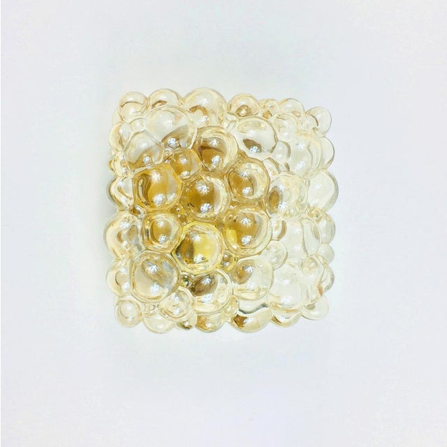 Mid-Century Amber Bubble Glass Wall Light attributed to Helena Tynell for Limburg, Germany, 1970s For Sale - Image 11 of 11