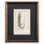 Early 19th Century Early 19th Century Cabinet of Curiosities, Set of 9 | Buffon Natural History Engravings of Spiders, Insects & Reptiles For Sale - Image 5 of 11
