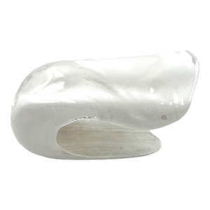 Murano Blown Shell Shaped Glass Sculptural Table Lamp, La Murrina Italy 1970s