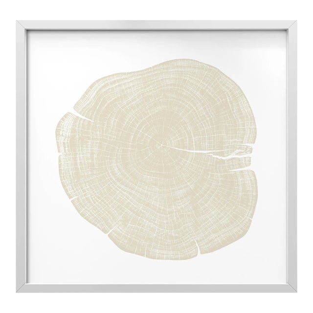 Stump 1 - Variation 4 by Trinette + Chris Print with White Frame - 24 X 24 For Sale