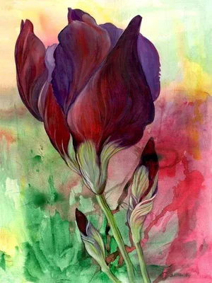 "Red Iris I" Contemporary Botanical Oil Painting