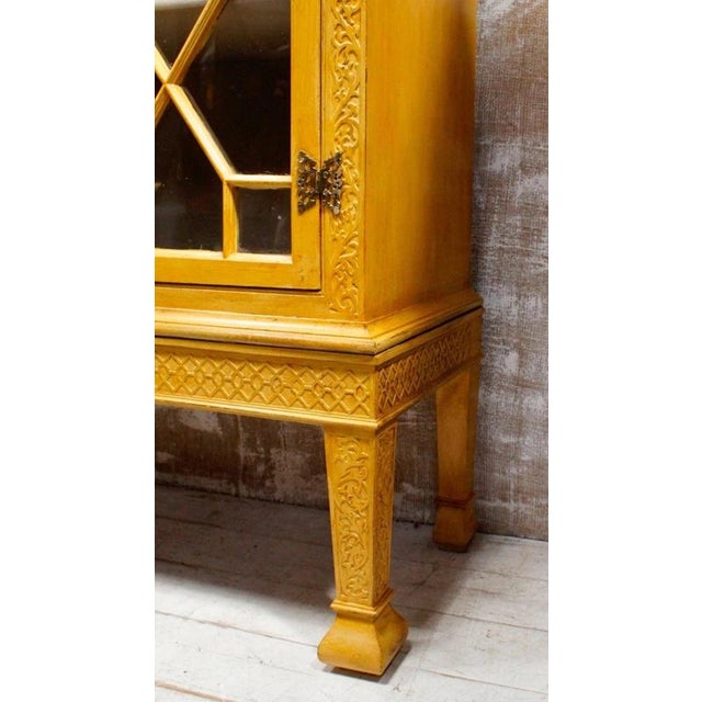 19th Century Antique Regency Ochre Astral Glazed Display Cabinet, 1820 For Sale - Image 5 of 9