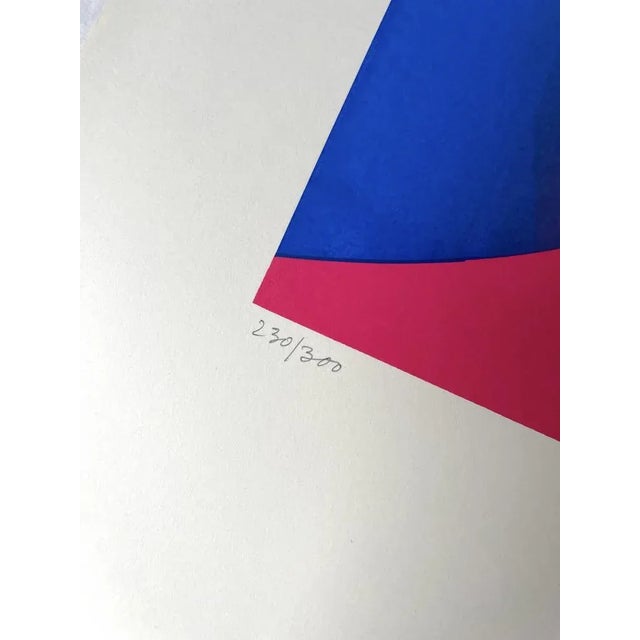 1960s Screenprint, Op Art, 1960s For Sale - Image 5 of 8