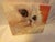 This is an oil painting of a lovely Himalayan cat named Coco done on gallery-wrapped canvas.