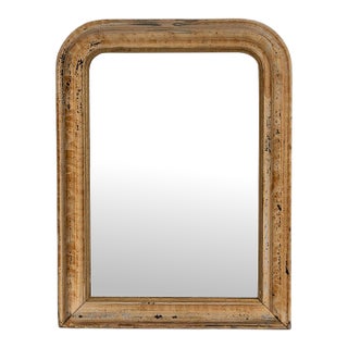 19th Century France Weathered Whitewash Cerused Oak Wall Mirror For Sale