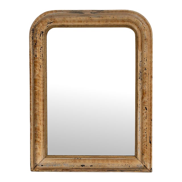 19th Century France Weathered Whitewash Cerused Oak Wall Mirror For Sale