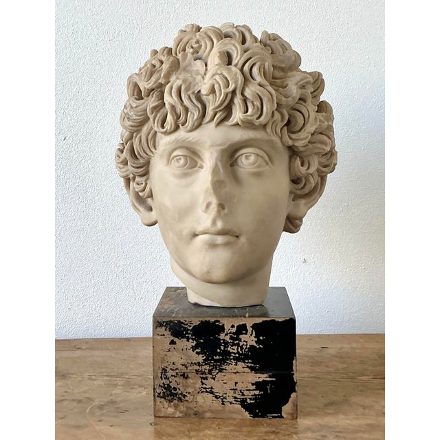 Vintage Boho Cast Marble Bust of Marcus Aurelius For Sale - Image 9 of 12