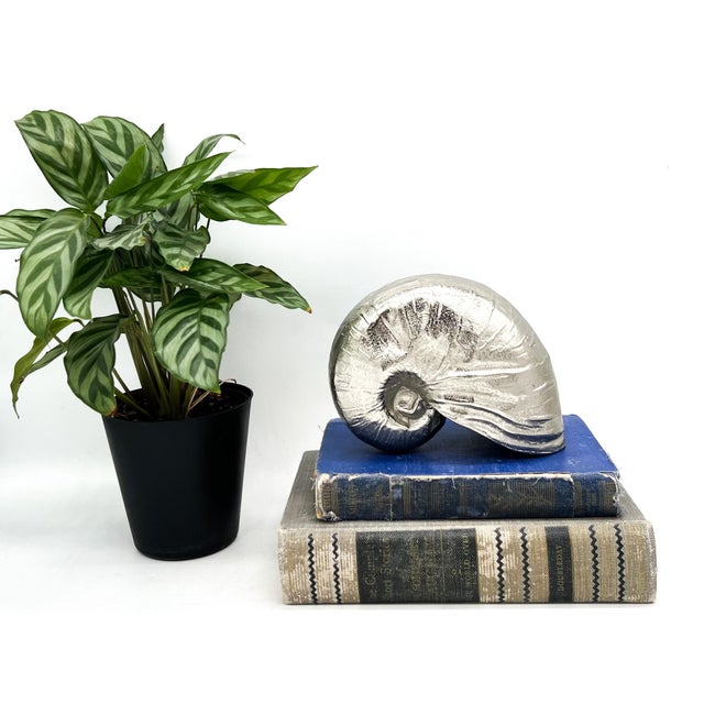Striking cast aluminum nautilus shell sculpture with a bright silver-toned finish and beautifully textured surface. The...