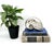 Striking cast aluminum nautilus shell sculpture with a bright silver-toned finish and beautifully textured surface. The...