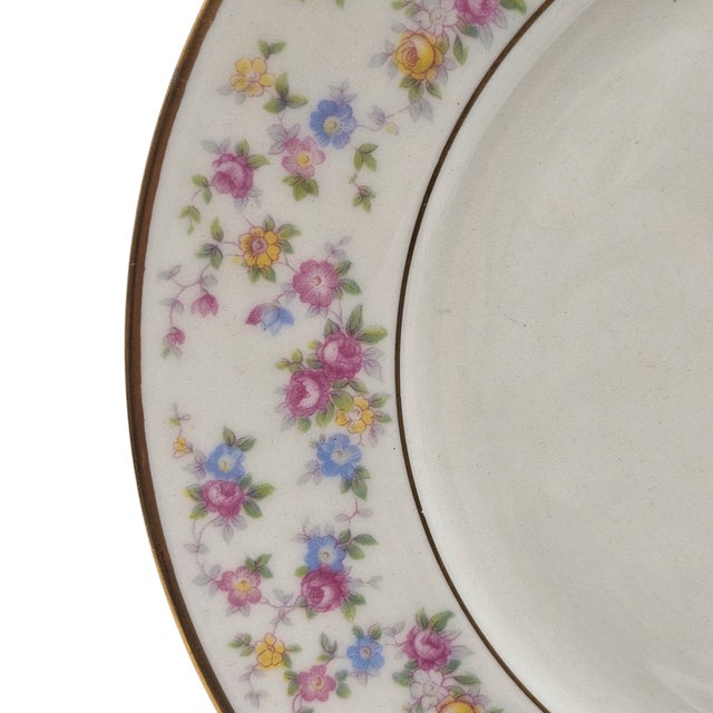 Lamberton Reverie Floral Salad Plates, Set of Twelve For Sale - Image 9 of 11