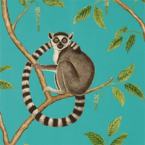 Sanderson Ringtailed Lemur Wallpaper in Teal - a Sample