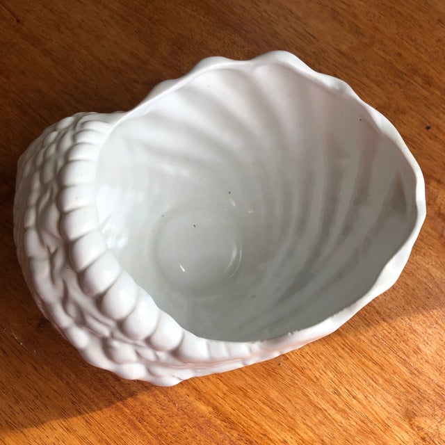 Late 20th Century Pearl White Conch Shells Cachepots Set of 2 Chairish