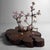 Brown Japanese Root Wood Sculpture or Ikebana Stand, 1900s For Sale - Image 8 of 18