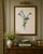 Vintage botanical artwork reproduced from an original illustration by Mary Vaux Walcott and refined for modern printing....