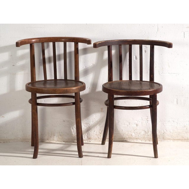 Early 20th Century Bentwood Armchairs in the style of Thonet, Central Europe, 1930, Set of 2 For Sale - Image 5 of 13