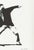 Silkscreen - Banksy (1974) - 'The Famous Flower Thrower'. The Famous Flower Thrower. Silkscreen on paper, numbered 39/150....