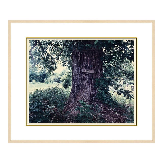 Late 20th Century Untitled (BI 1), Birney Imes For Sale