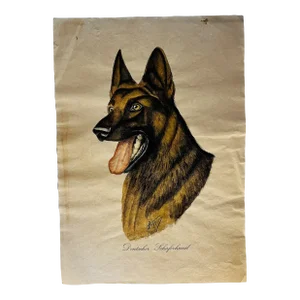 Vintage German Shepherd Dog Lithograph Print