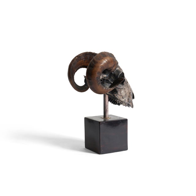Ram's Skull Silver Plated For Sale - Image 4 of 8