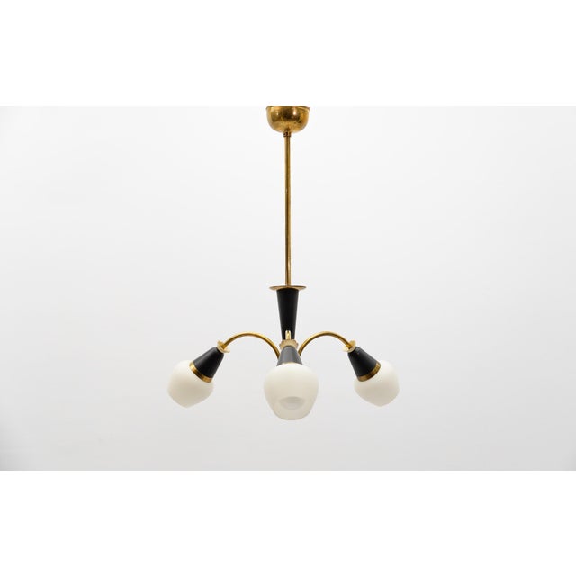 Mid-Century Modern Brass 3-Armed Sputnik Lamp, 1950s For Sale - Image 13 of 13