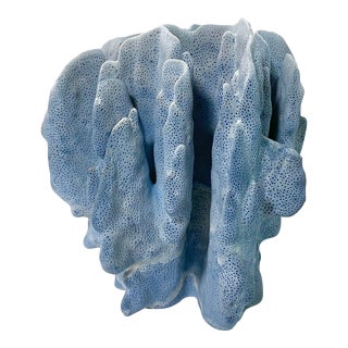 Natural Blue Coral Specimen Coastal Decor For Sale