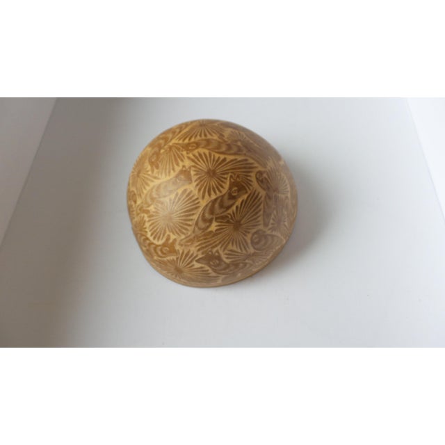 Late 20th Century Mexican Carved Gourd Attributed to Oaxaca For Sale - Image 12 of 14