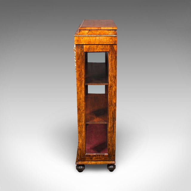 Wood Antique Pier Cabinet, English, Walnut, Glazed Display Bookcase, Victorian, 1860 For Sale - Image 7 of 12