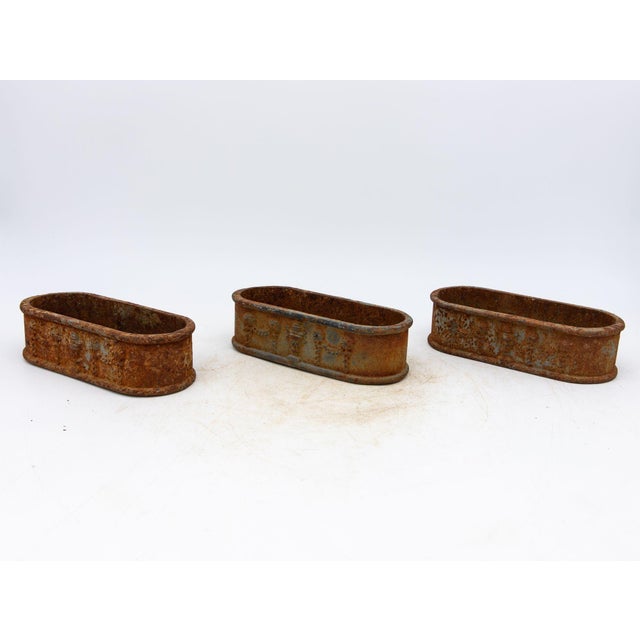 1910s Small Cast Iron Oval Planter, France Early 20th C. For Sale - Image 5 of 10