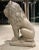 Cast Stone Lion Statue Circa 20th Century France For Sale In Denver - Image 6 of 13