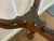 18th Century Chippendale Birdcage Tilt Top Table For Sale - Image 13 of 15